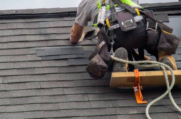 Best Storm Damage Roof Repair  in Fort Rucker, AL