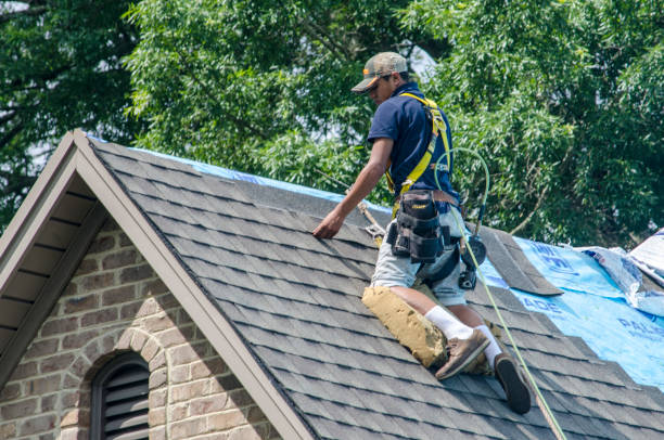 Best Local Roofing Companies  in Fort Rucker, AL